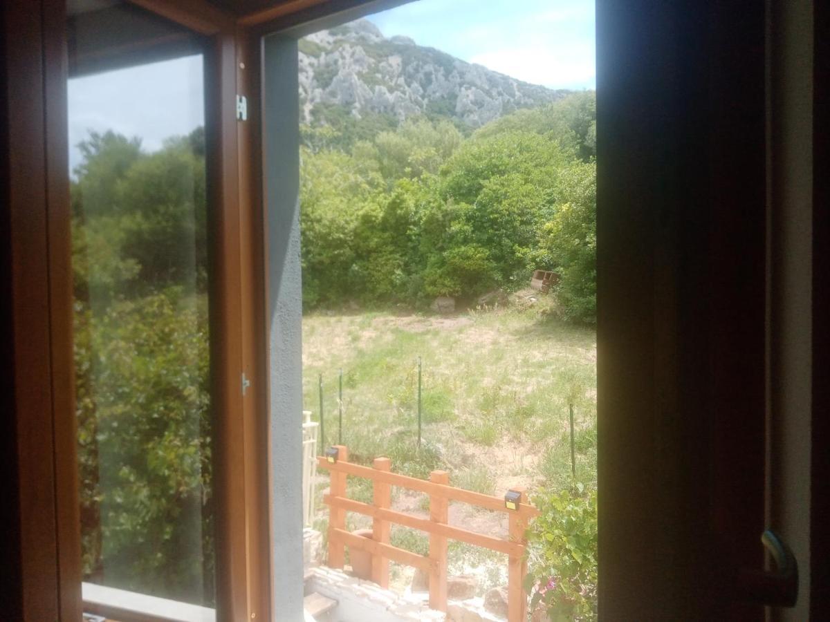 B&B Bella Vista Dorgali Extérieur photo